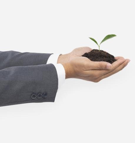 Hand cupping plant soil save the environment campaign Hand cupping plant soil save the environment campaign